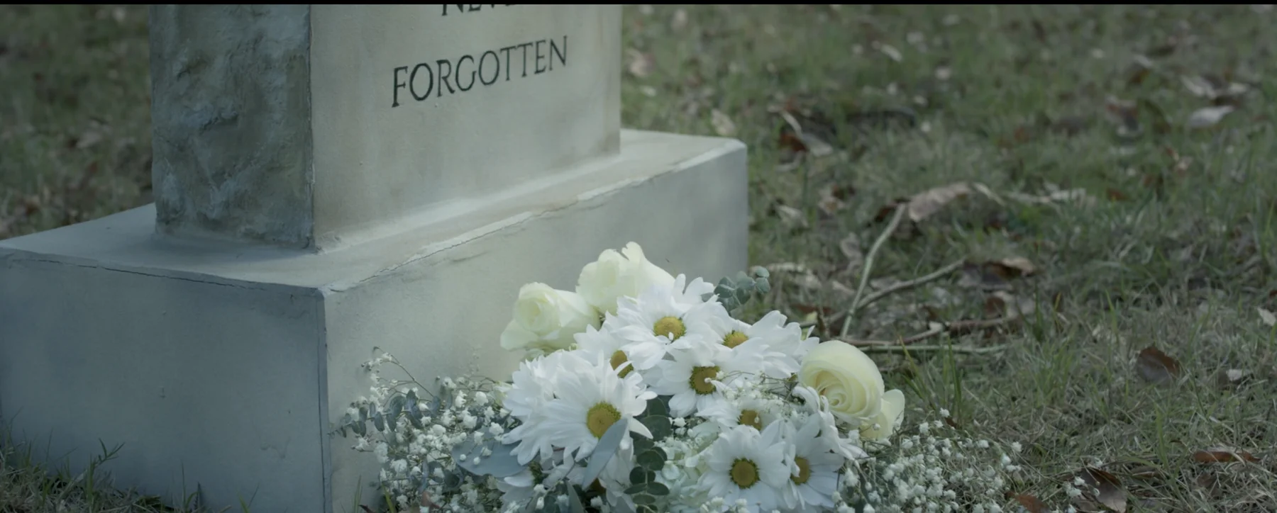 Albedo film still — daisies at the headstone