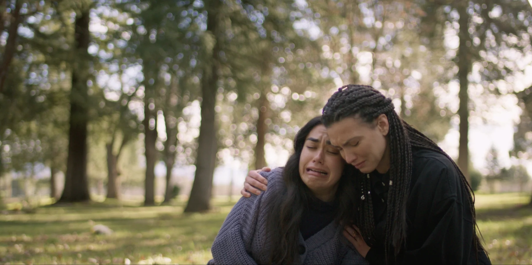 Albedo film still — comfort