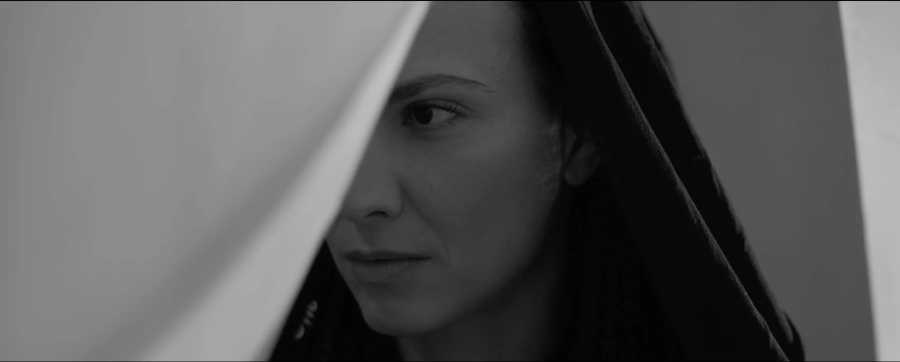 Albedo film still — the protector behind the curtain