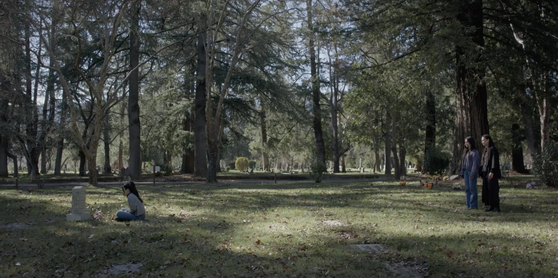 Albedo film still — at the grave