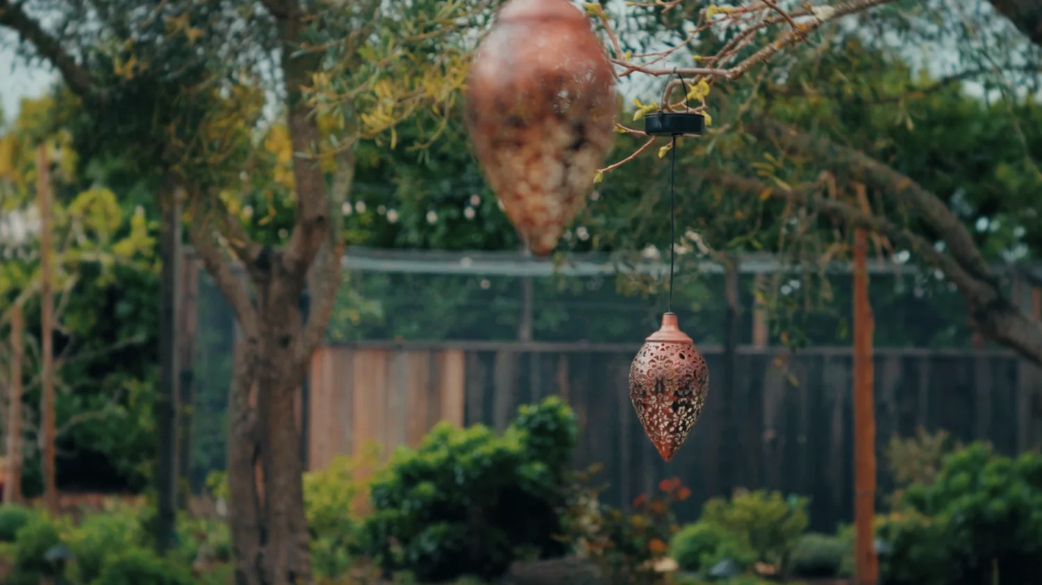 Dina Saalisi still — garden with hanging lamps